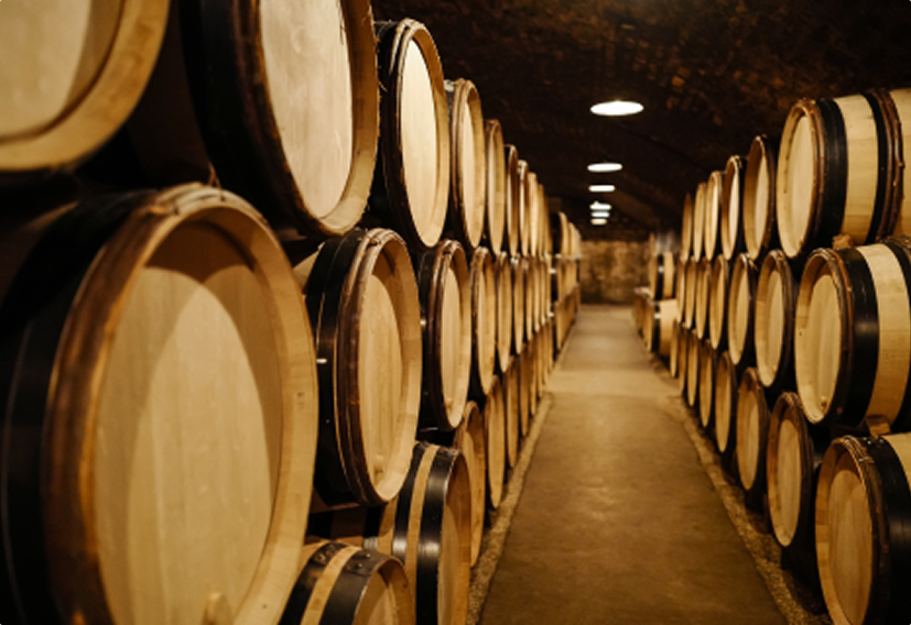 Cave avec des tonneaux de vin